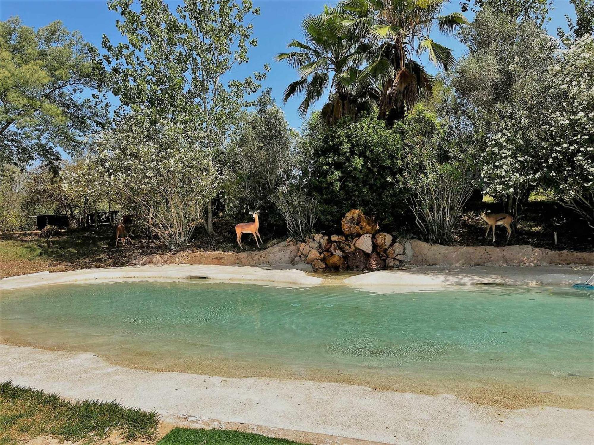 Parque Da Mina Hotell Monchique Exteriör bild